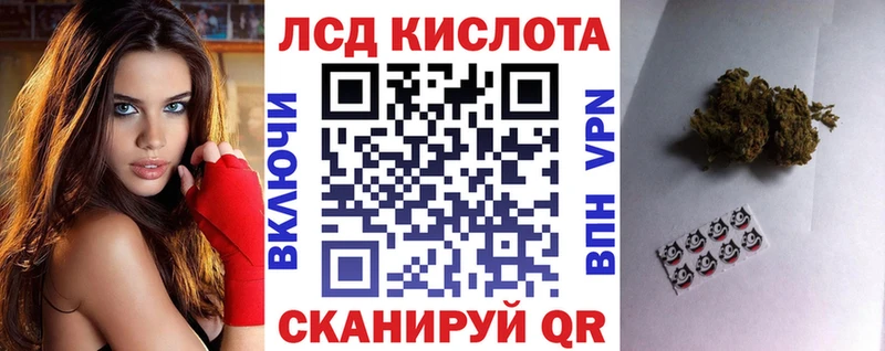 площадка как зайти  Темников  Марки 25I-NBOMe 1500мкг  где купить наркоту 