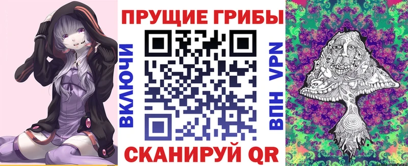 Псилоцибиновые грибы Cubensis купить наркоту Темников